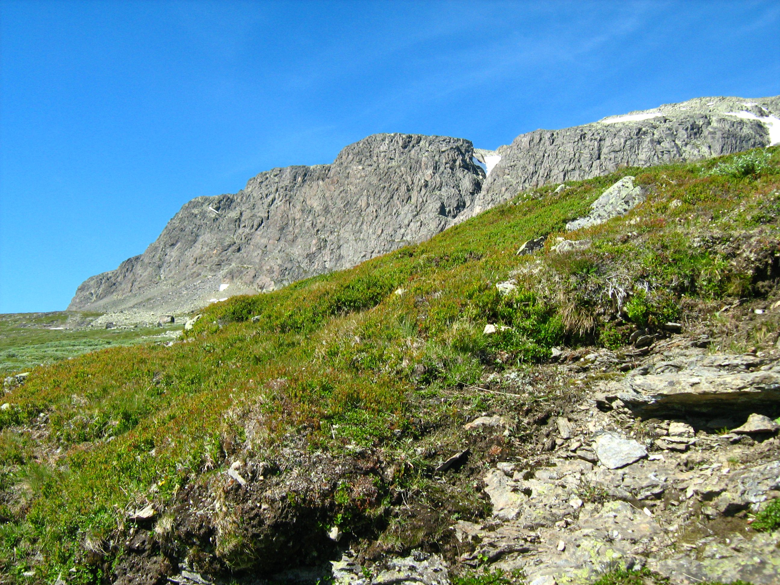An image depicting the trail Hallingskarvet National Park and its surrounding area.