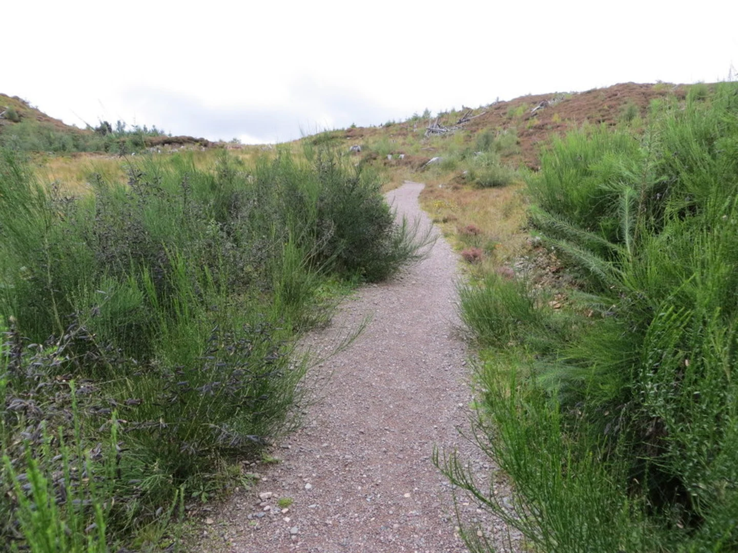 An image depicting the trail Victoria Falls Trail and its surrounding area.