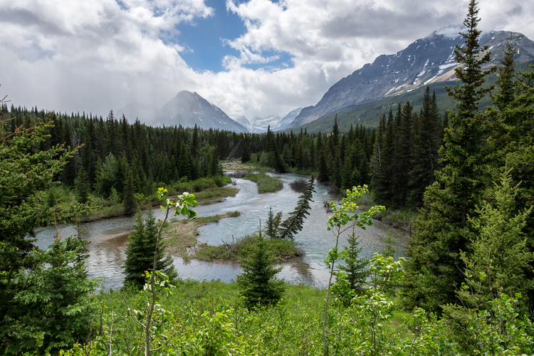 Belly River Trail