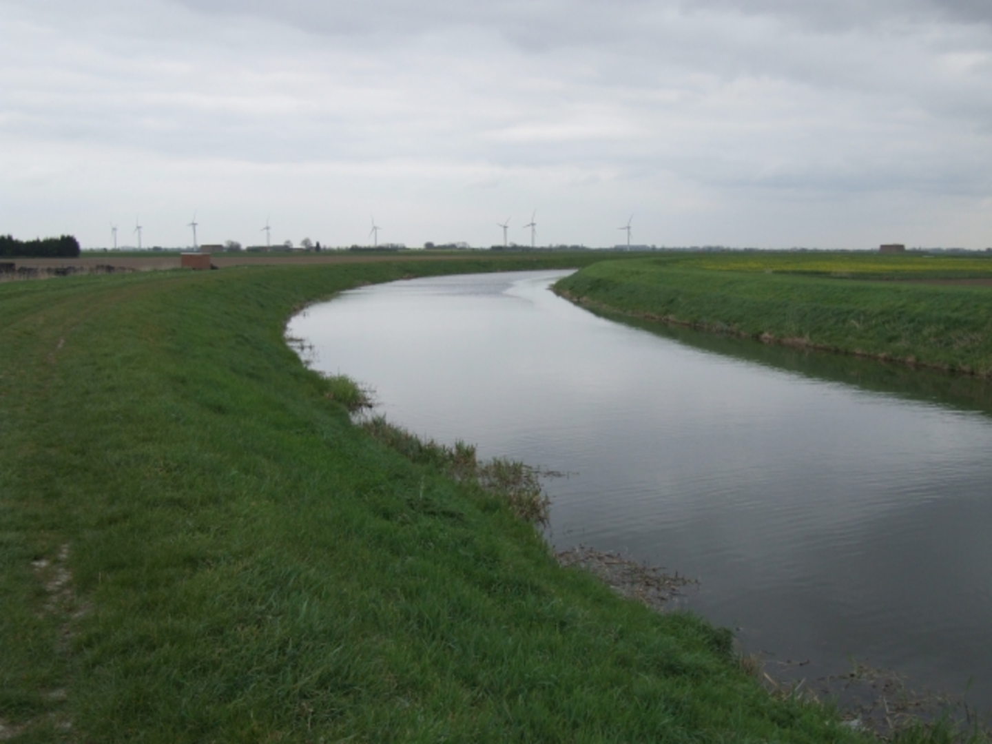 An image depicting the trail River Nene Walk - March and its surrounding area.