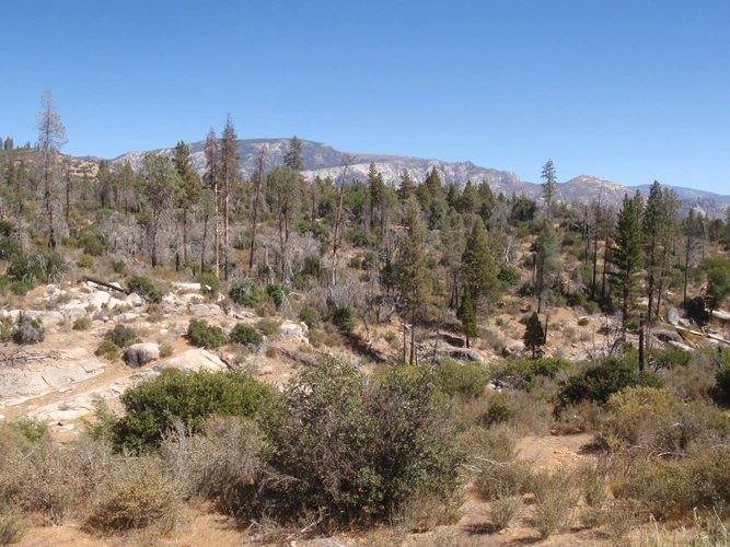 Kern River Upper, Rincon and Sherman Pass Road Loop Trail