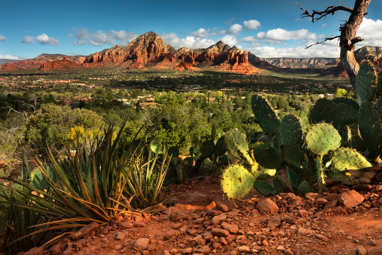An image depicting the trail Andante Trail and its surrounding area.