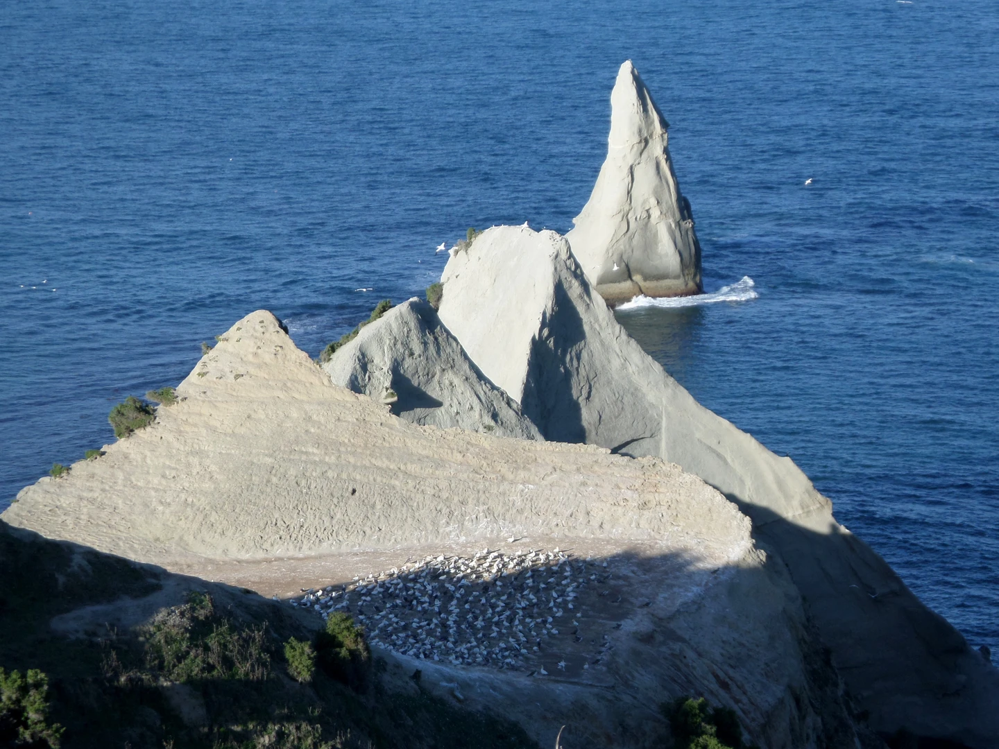 An image depicting the trail Cape Kidnappers Track and its surrounding area.