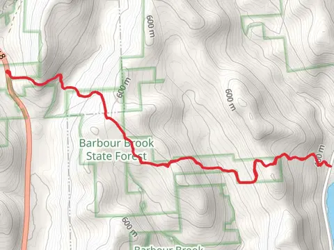 Finger Lakes Trail from Upper Barbourville