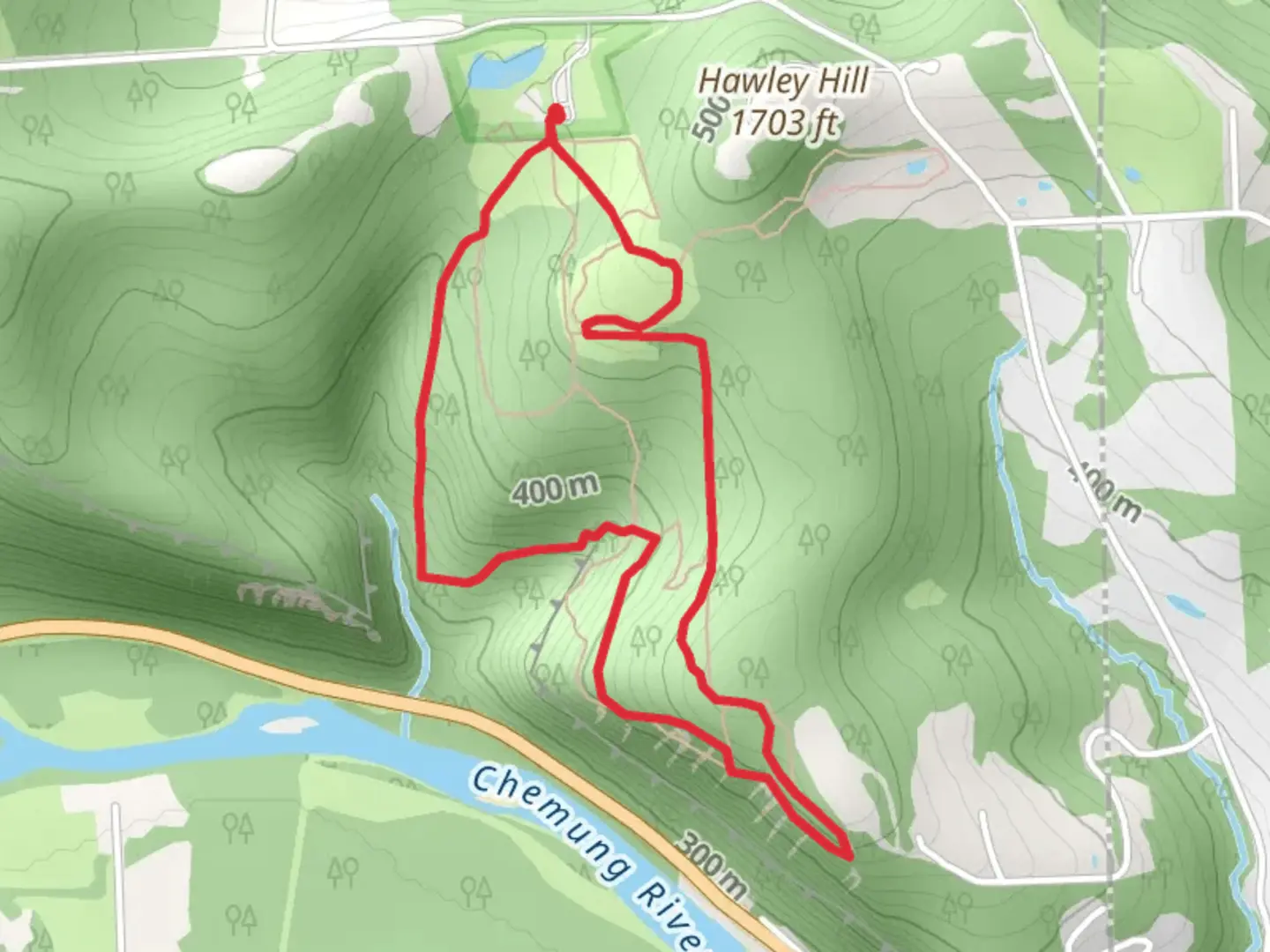 An image depicting the trail Allyn Hoffman Tree Trail Loop and its surrounding area.