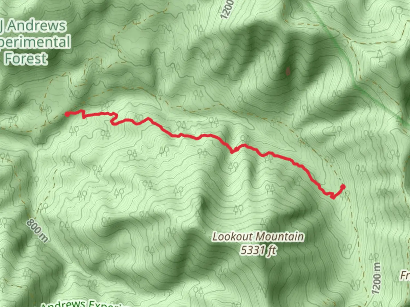 An image depicting the trail Lookout Creek Old Growth Trail and its surrounding area.