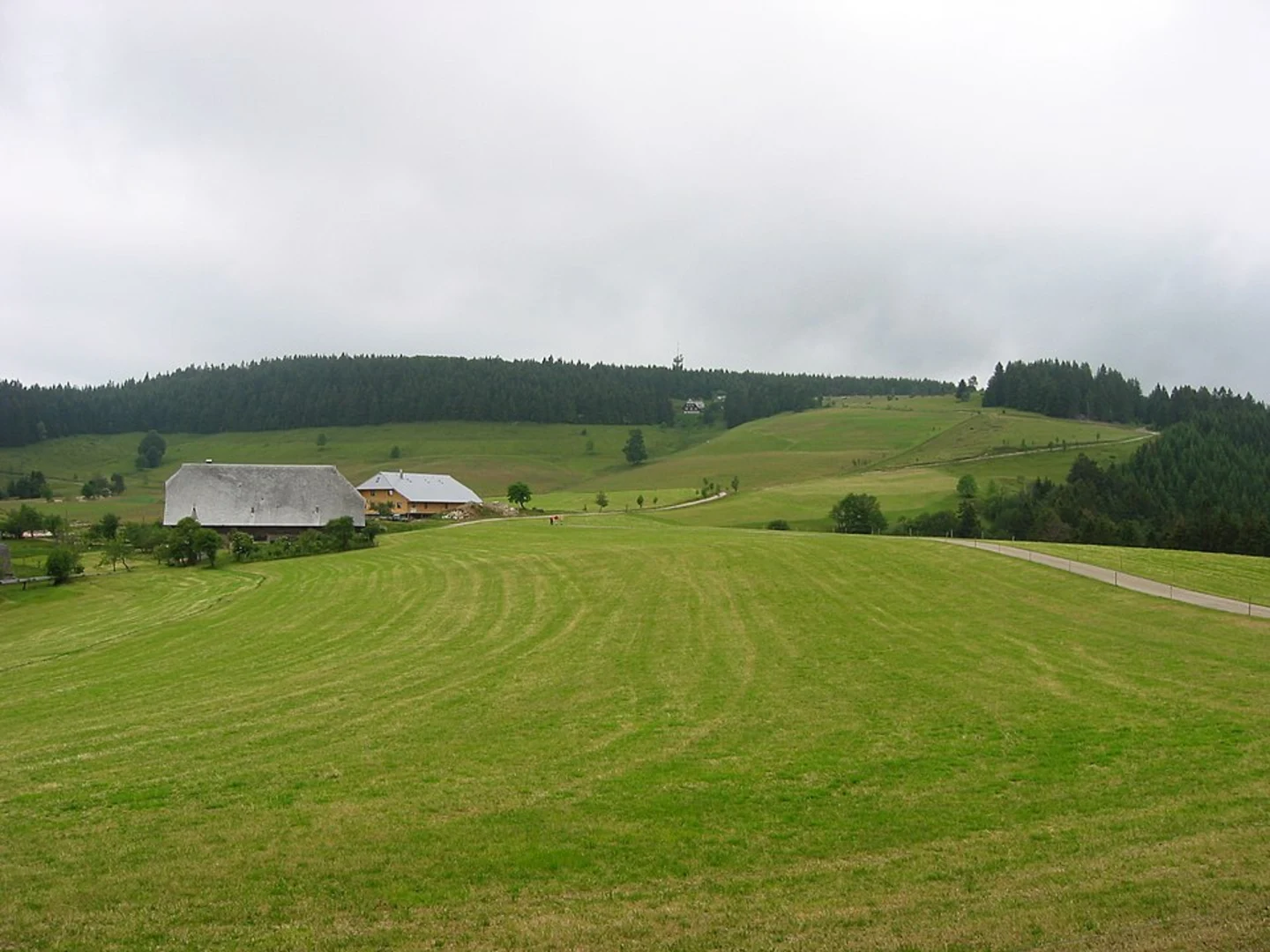 An image depicting the trail Yacher Hoehenweg Loop and its surrounding area.