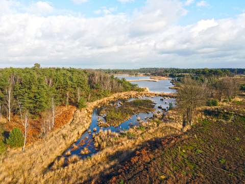 Esscheweg, De Schoonberg and De Gilders Loop