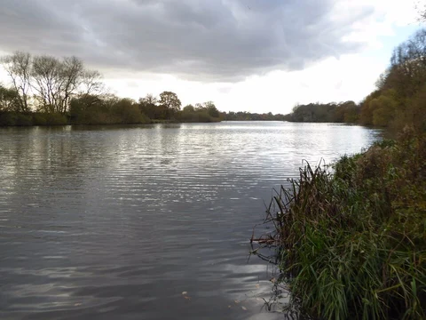 Coombe Country Park Loop