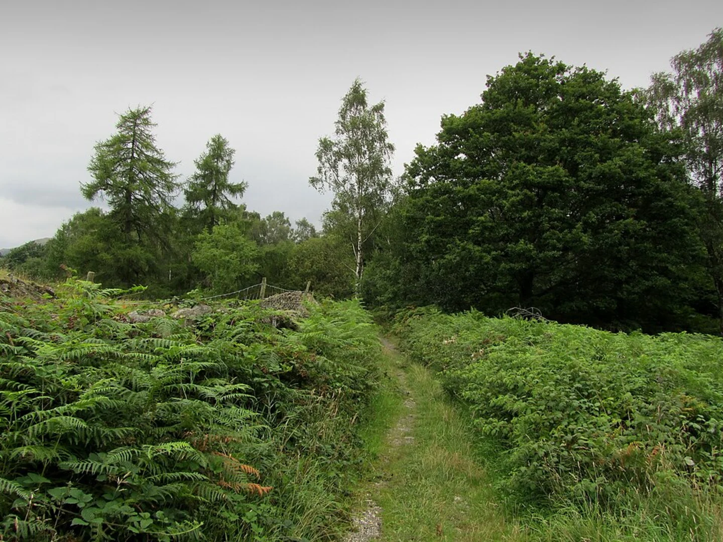 An image depicting the trail Close Hill Coppice and Pierce How Walk and its surrounding area.