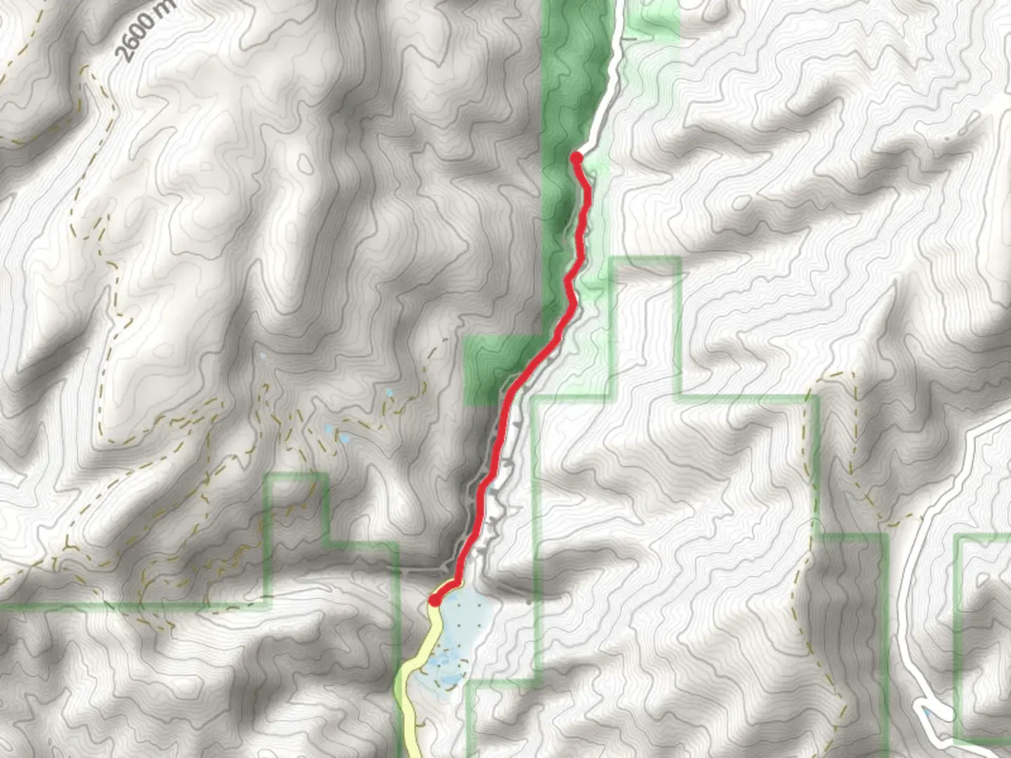 An image depicting the trail Walk along East Rifle Creek and its surrounding area.