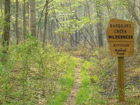 Lipes Branch Trail