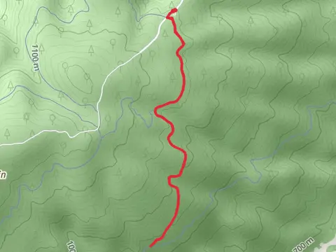 Wheels Up via Genesis Loop Trail
