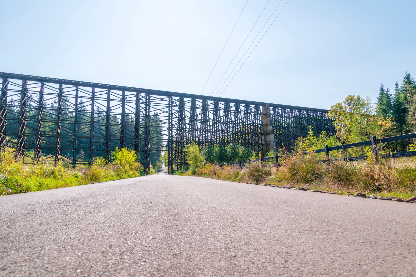 An image depicting the trail Holcomb Creek Road and its surrounding area.