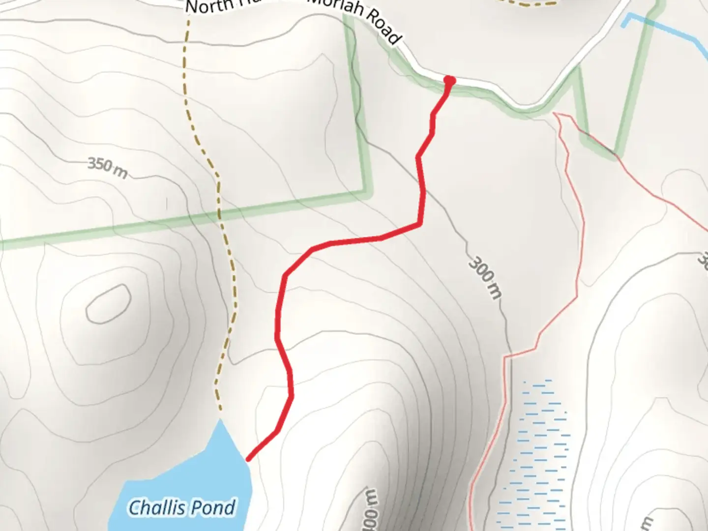 An image depicting the trail Challis Pond from North Hudson-Moriah Road Out and Back and its surrounding area.