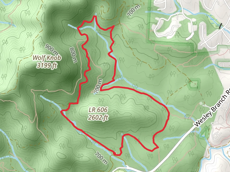 Ledford and Wolf Branch Loop Trail