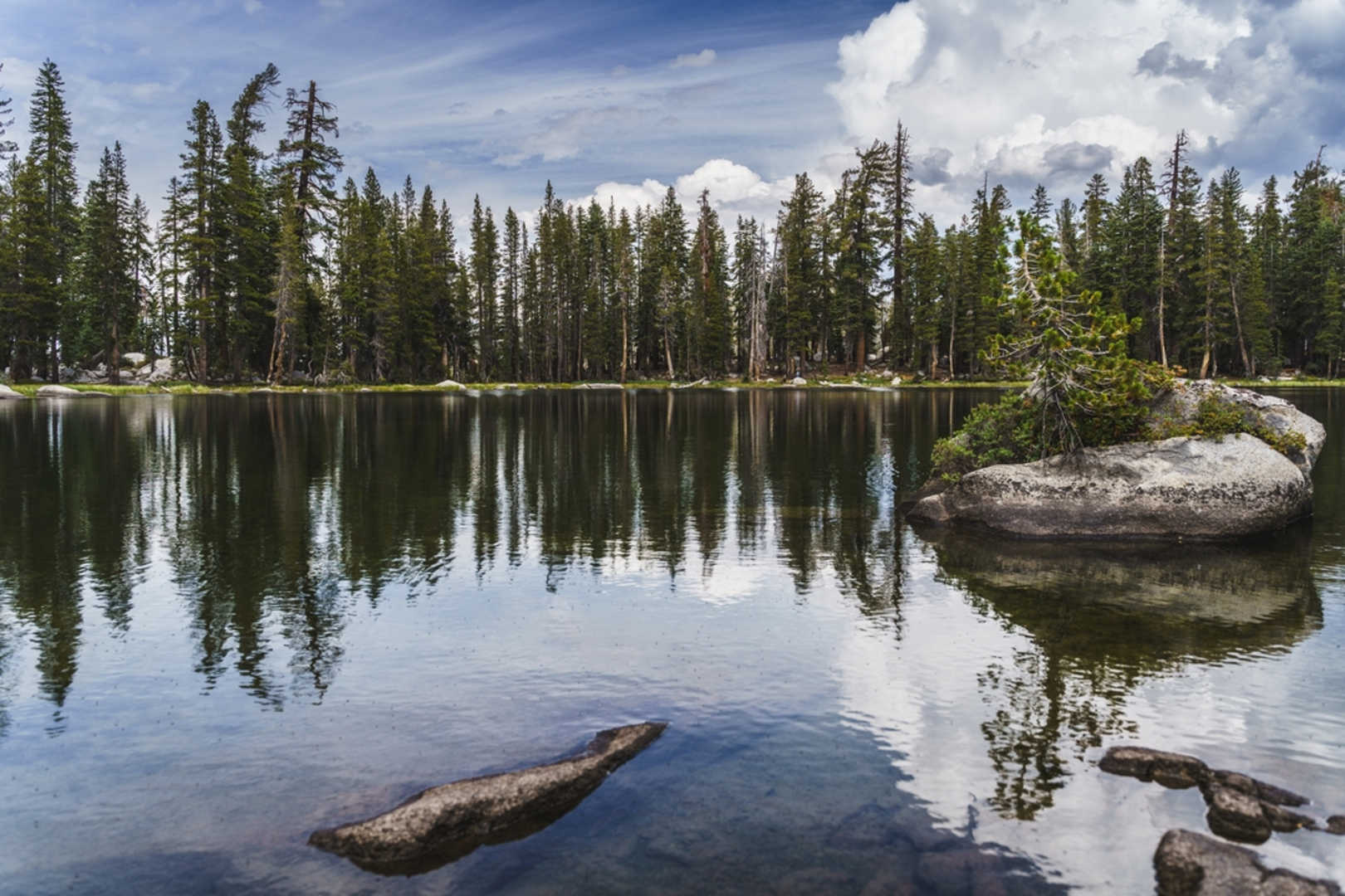 An image depicting the trail Brewer Lake Trail and its surrounding area.