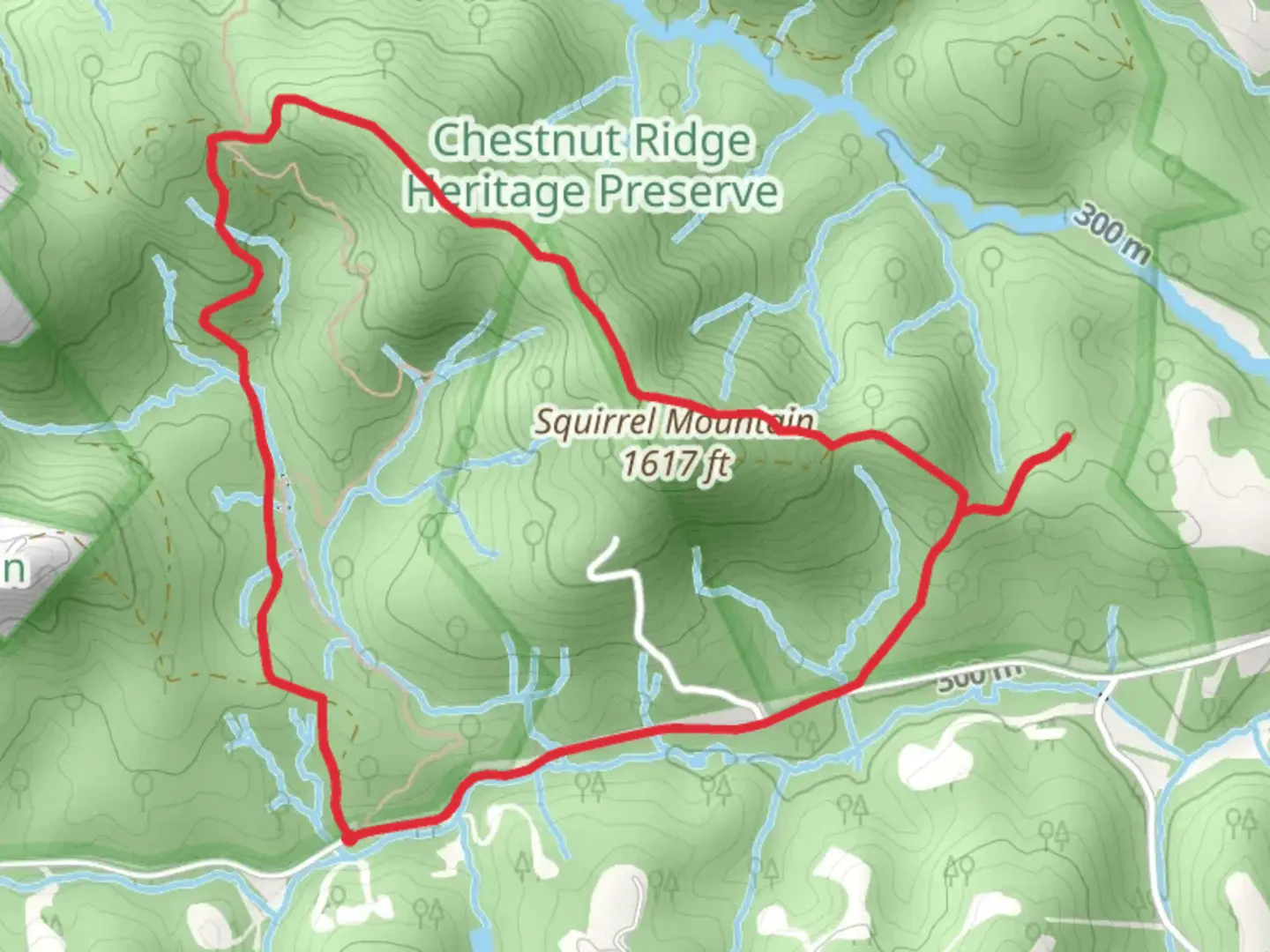 An image depicting the trail Squirrel Mountain - Oak Grove Road Loop and its surrounding area.