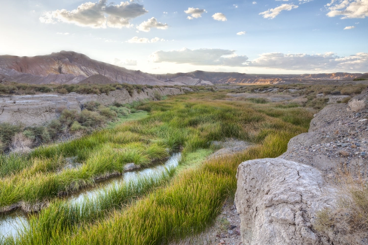 Amargosa, Amargosa River and Slot Canyon Trail
