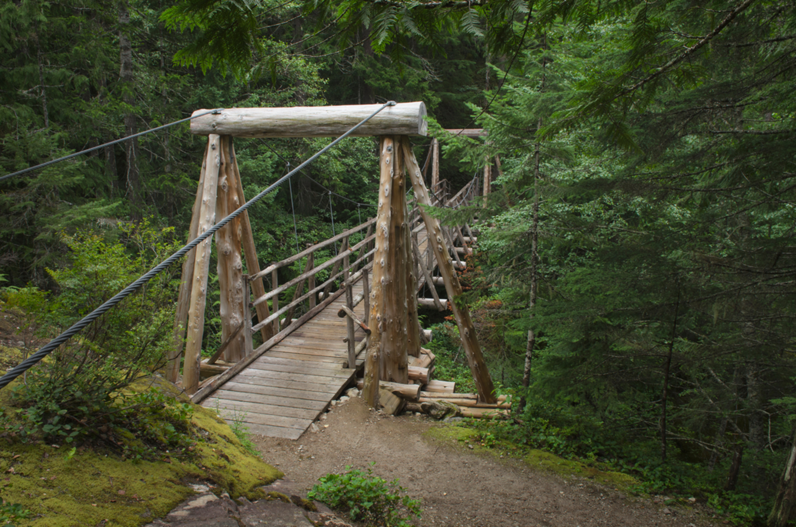 An image depicting the trail Suiattle River Trail and its surrounding area.