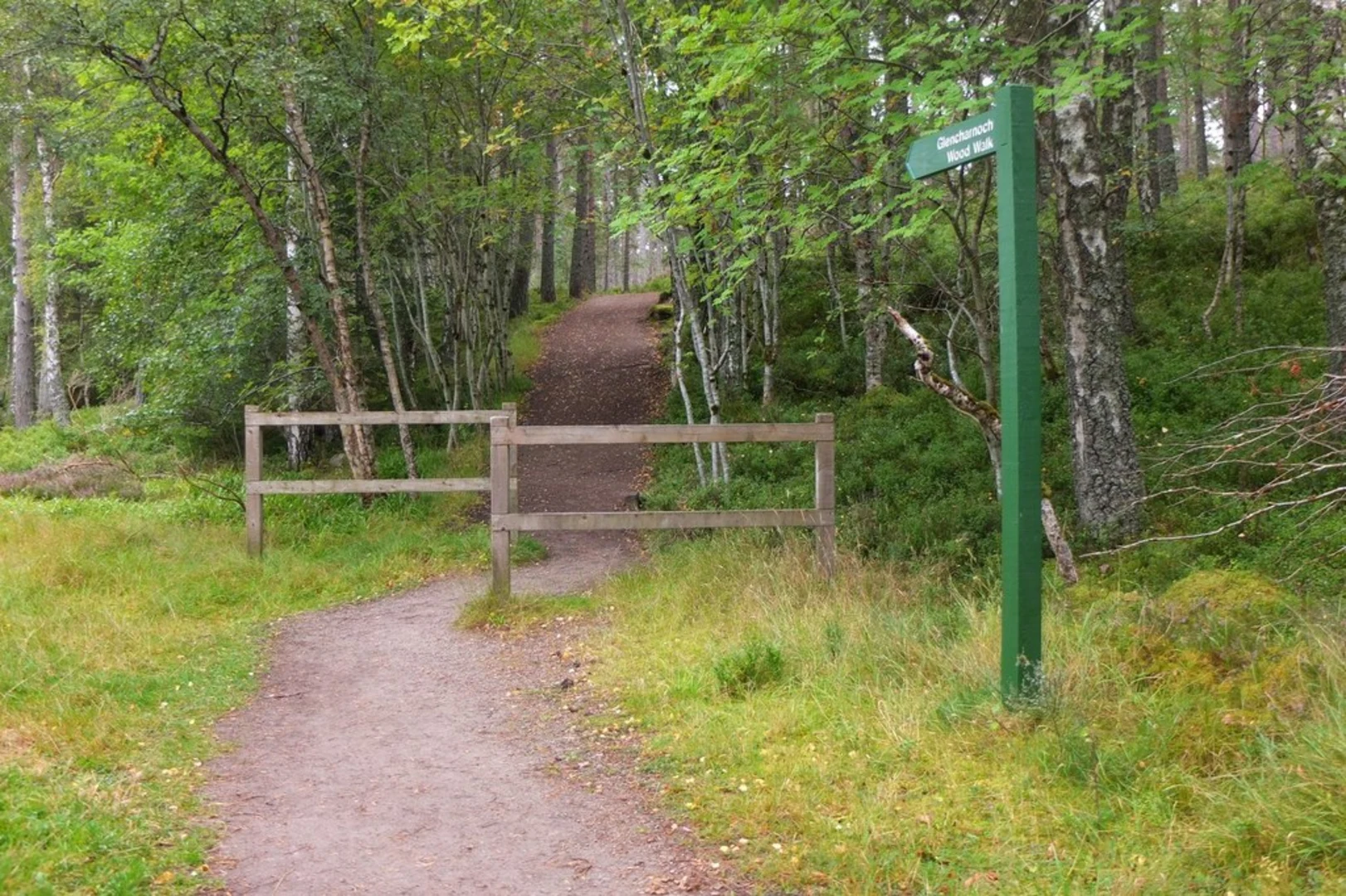 An image depicting the trail Glencharrnoch Walk and its surrounding area.