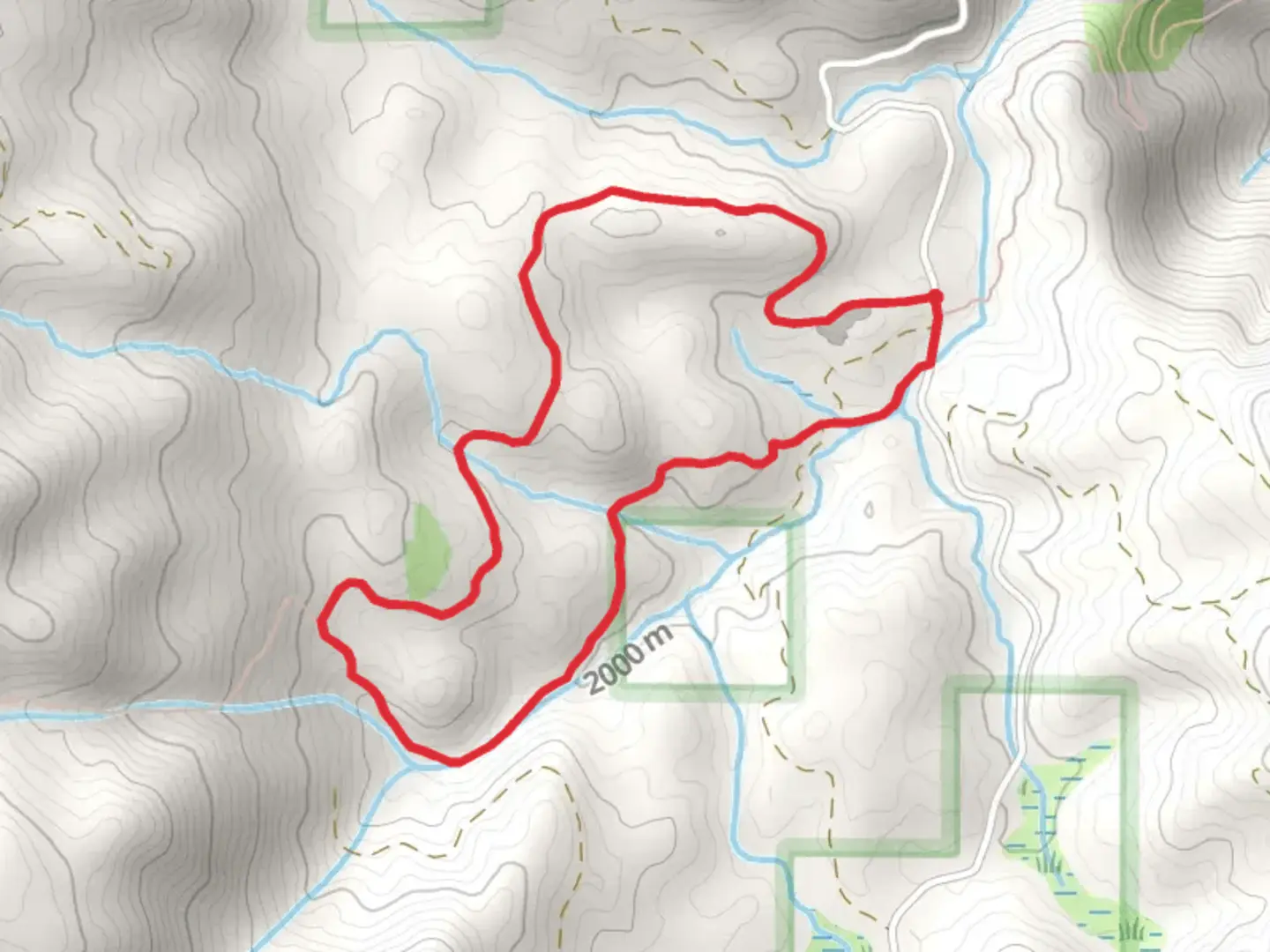 An image depicting the trail Forest Route 24S53 via Tobias Creek Loop and its surrounding area.