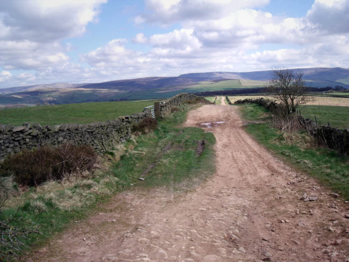 An image depicting the trail Mellor Loop and its surrounding area.