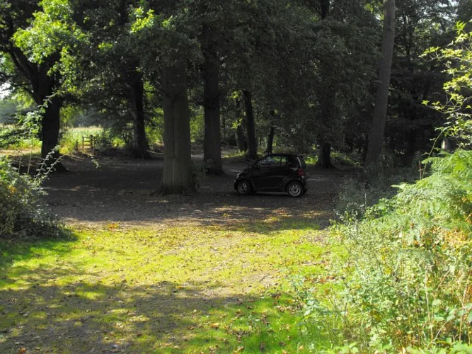 Nesscliffe Hill Country Park and The Cliffe Loop