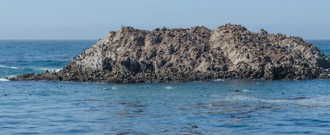 Bird Rock Road