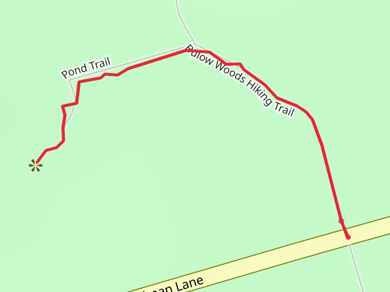Pond Trail from Walter Boardman Lane