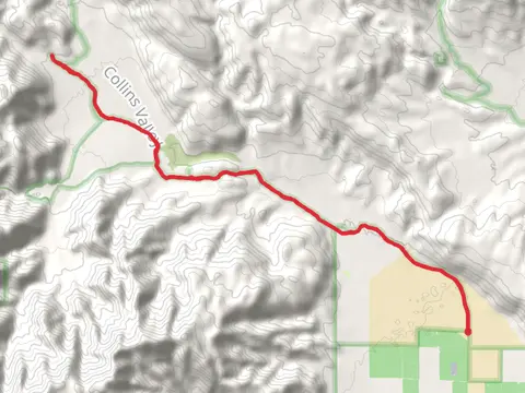 Coyote Canyon and Collins Valley Road