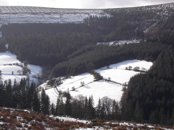 Mynydd Du Forest Loop