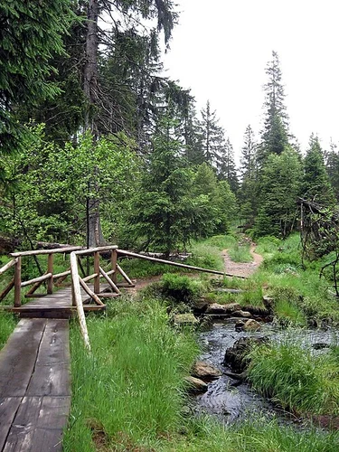 Torfhaus to Altenau Walk