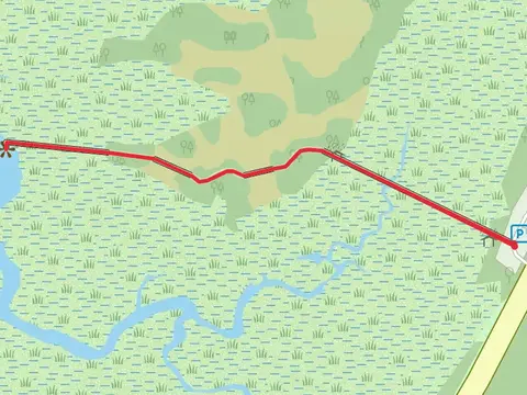 Hunting Island Marsh Boardwalk
