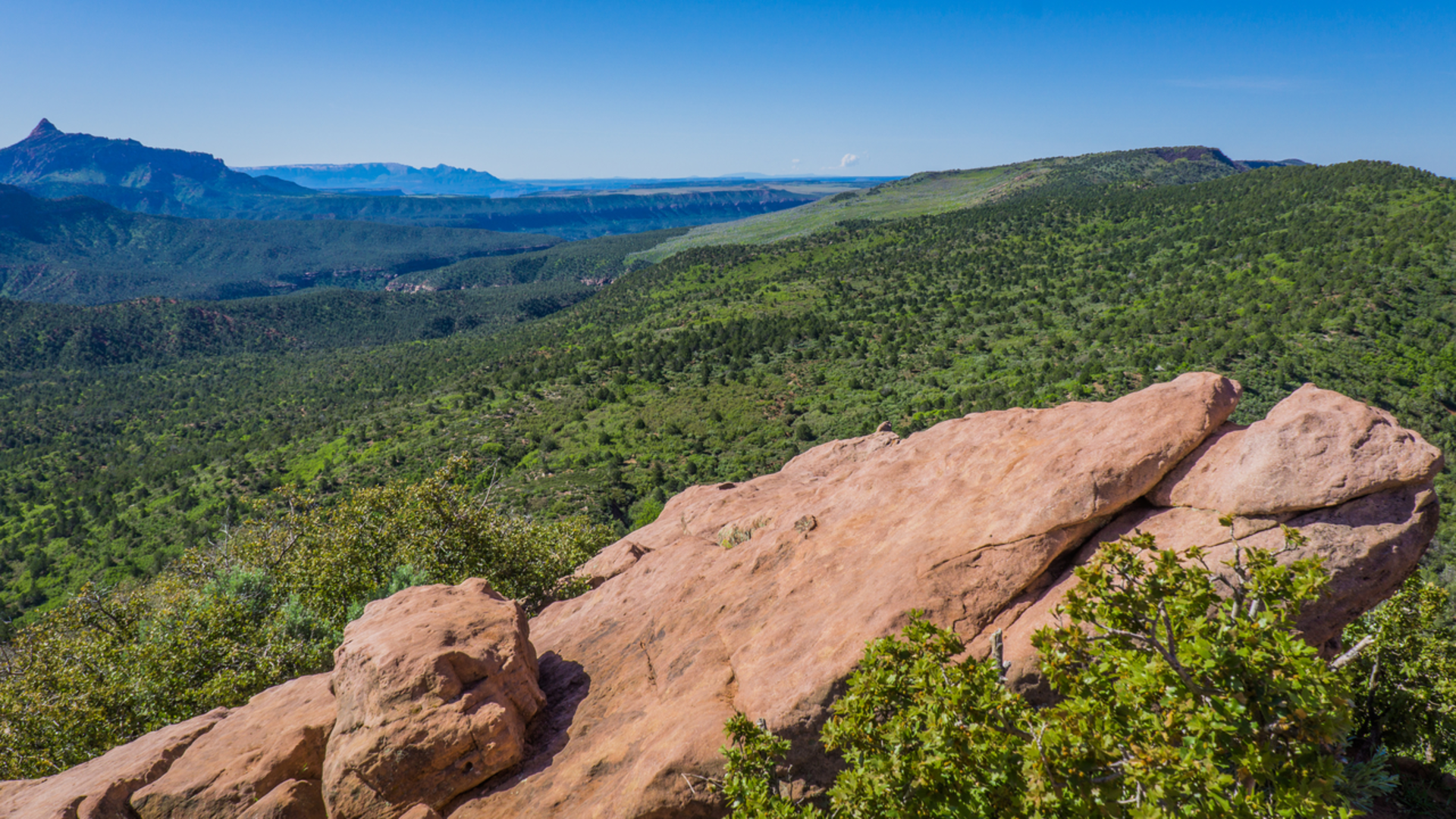 An image depicting the trail Timber Creek Overlook Trail and its surrounding area.