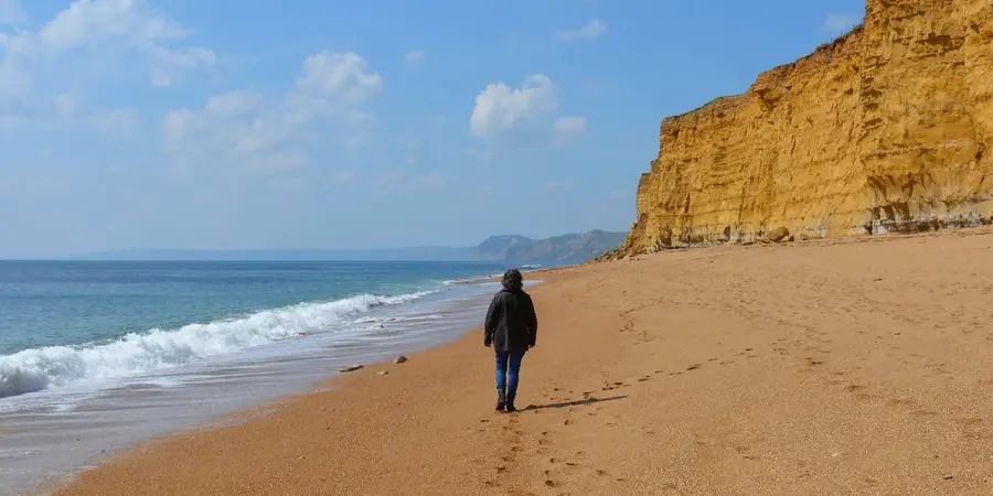 The Hive Beach Walk