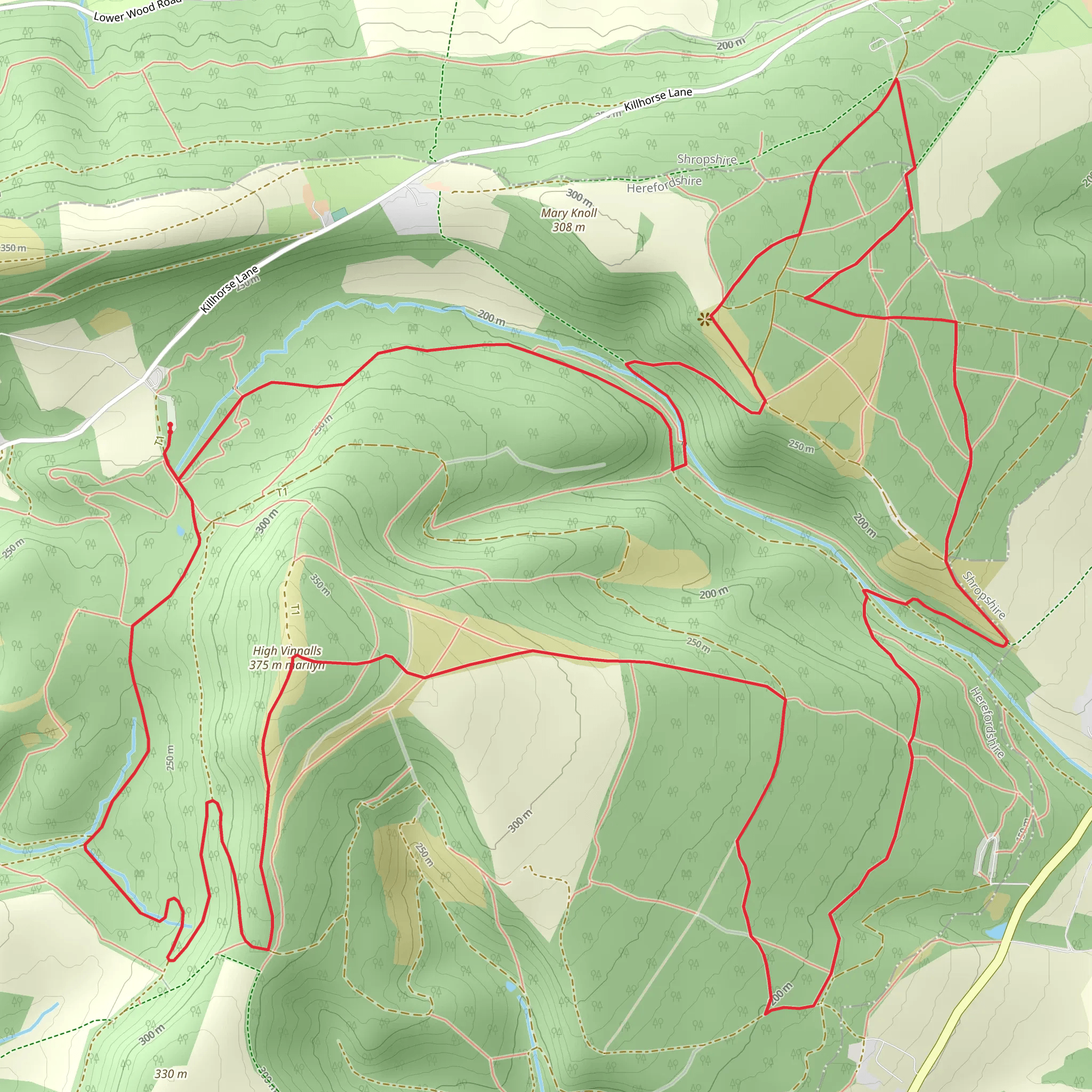High Vinnalls and Mortimer Forest Loop | Herefordshire | England