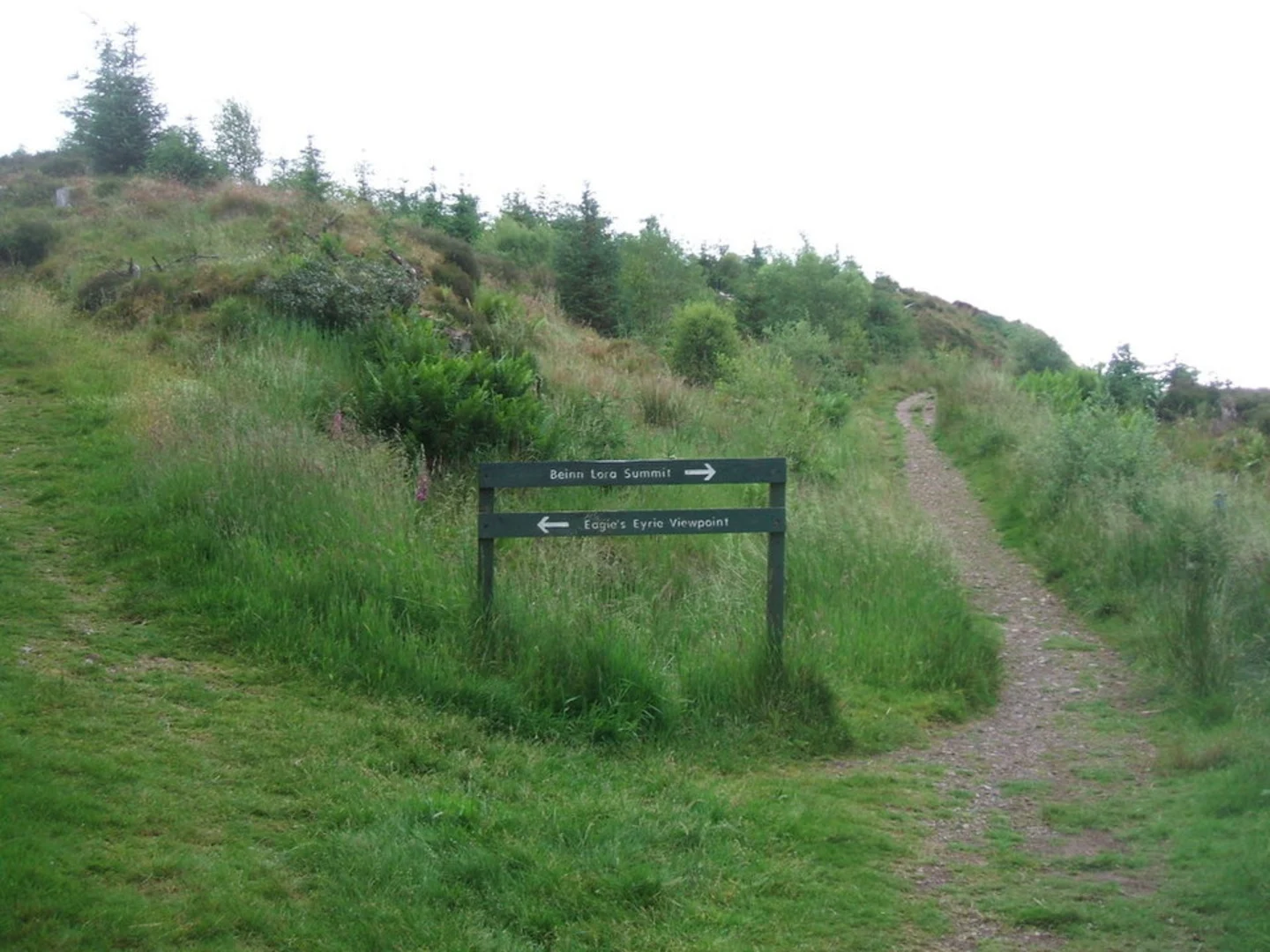 An image depicting the trail Coastal Climb Trail and its surrounding area.