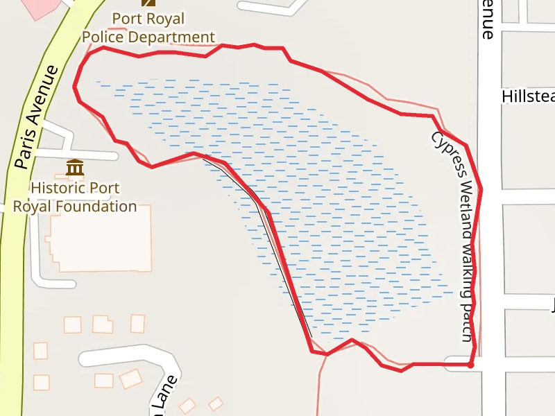 Cypress Wetland walking patch Loop