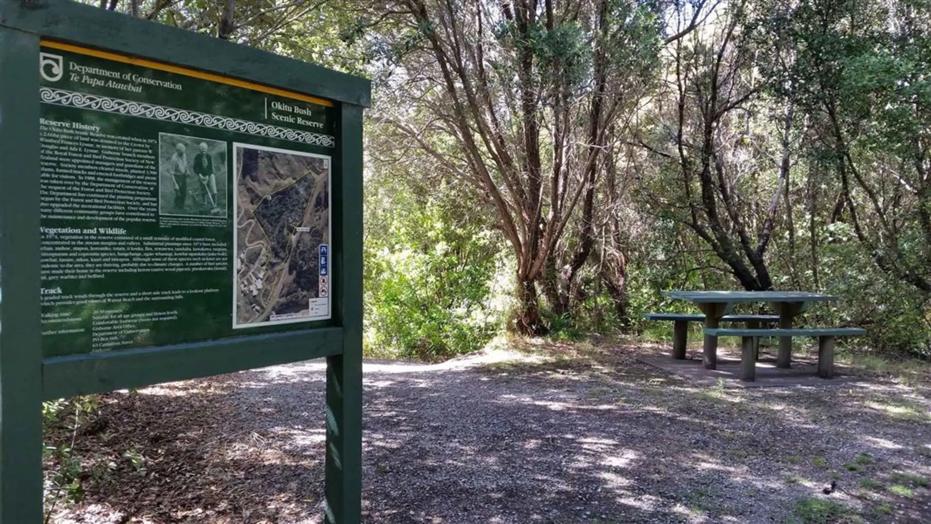 An image depicting the trail Okitu Bush Scenic Reserve Walk and its surrounding area.