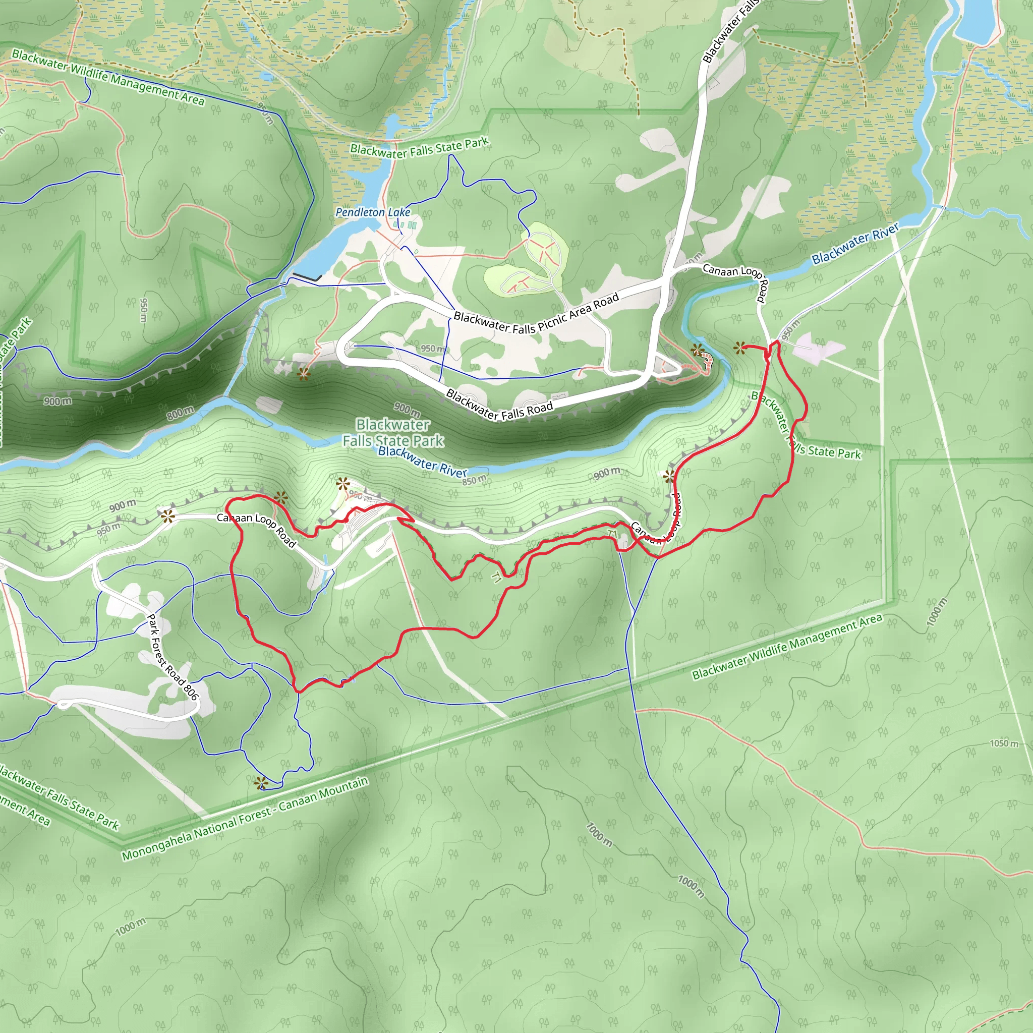 Elakala Trail, Red Spruce Trail and Yellow Birch Trail Loop mobile static map