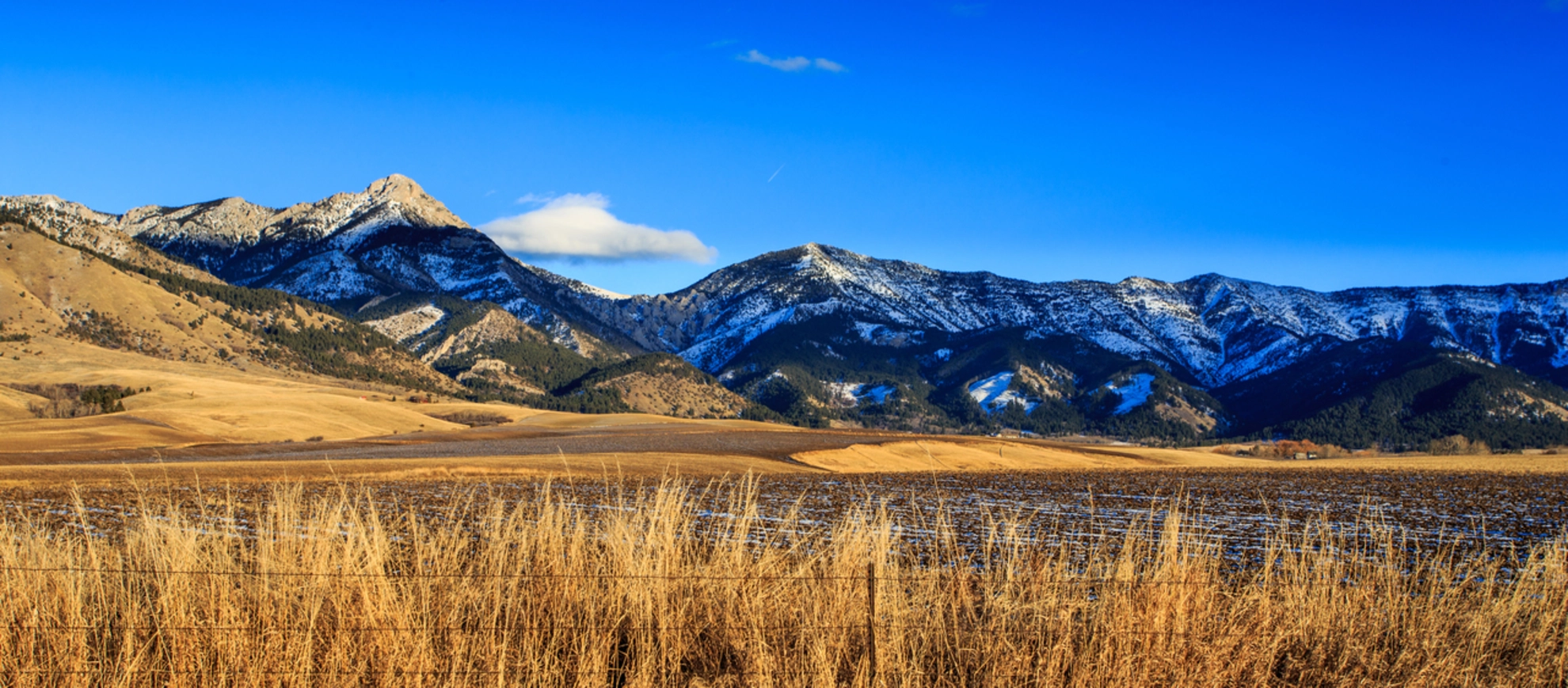 An image depicting the trail Bangtail Divide Trail and its surrounding area.