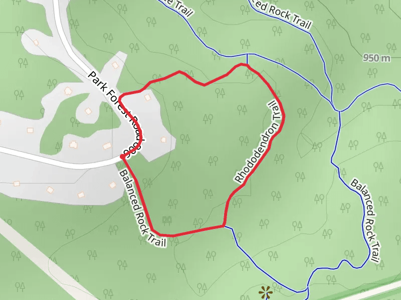 Rhododendron Loop Trail