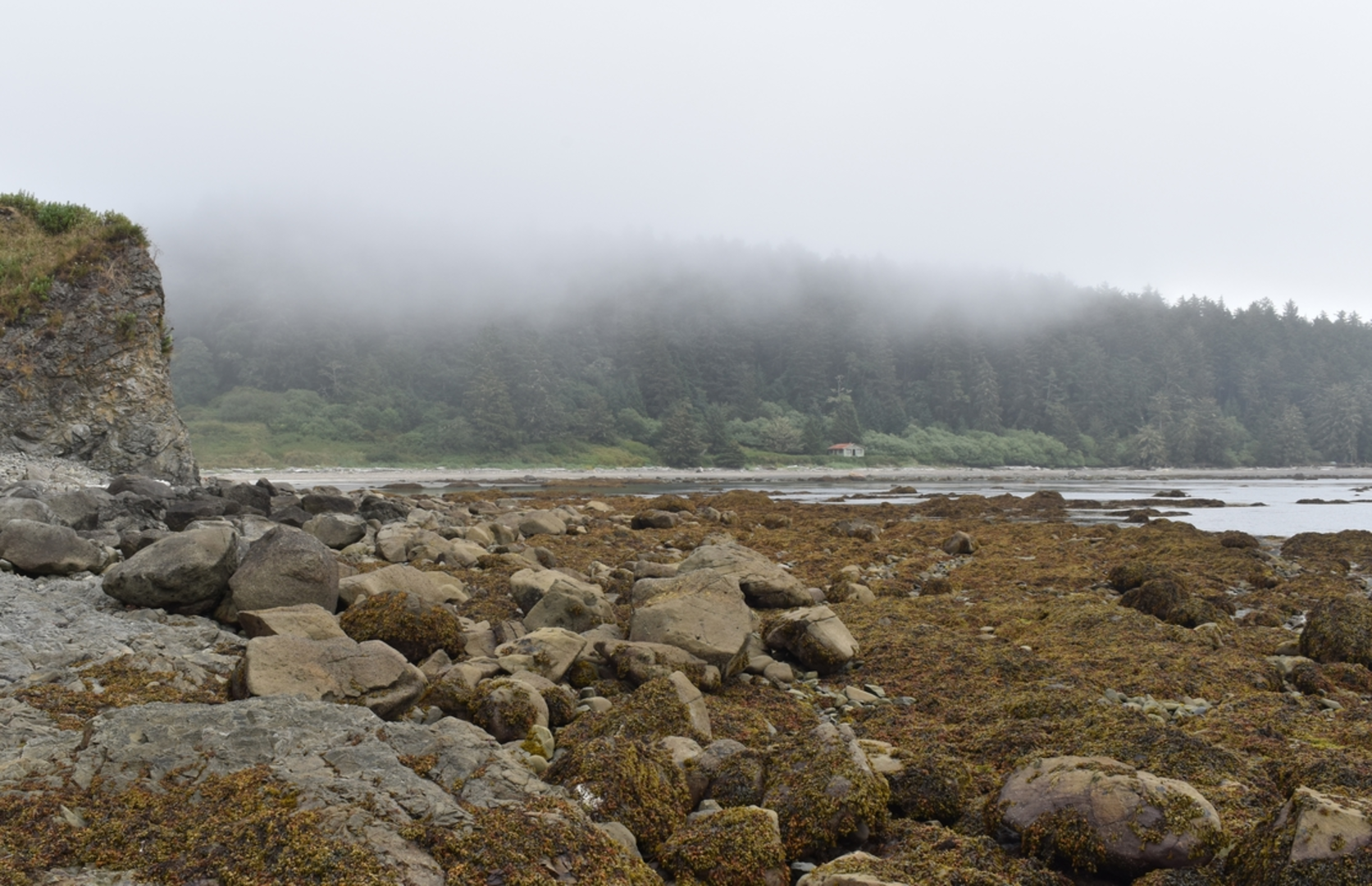 An image depicting the trail North Sand Point Trail and its surrounding area.