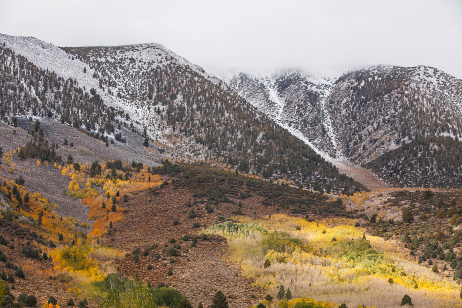 An image depicting the trail Davis Lake via Hilton Lakes Trail and its surrounding area.