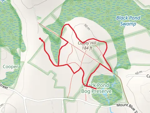 Cuffey Hill Loop Trail