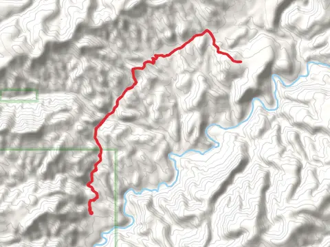 Woods Trail