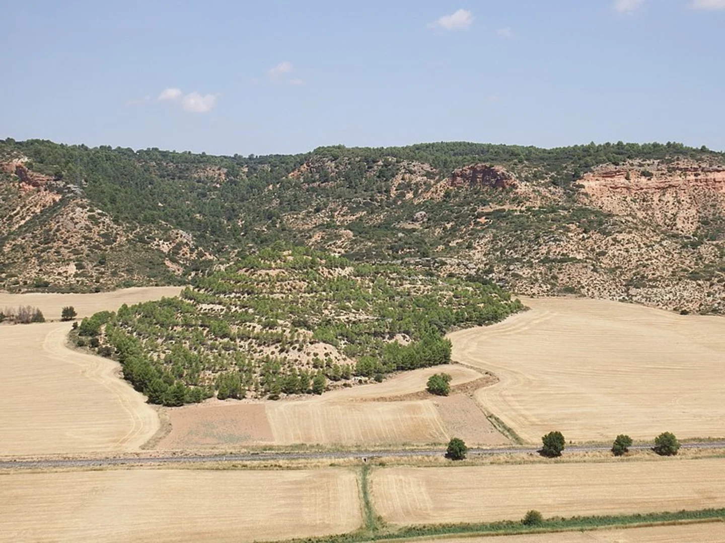 An image depicting the trail Monte de Abajo Path PR CU 111 and its surrounding area.