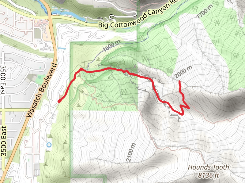 Ferguson Canyon Trail Out and Back