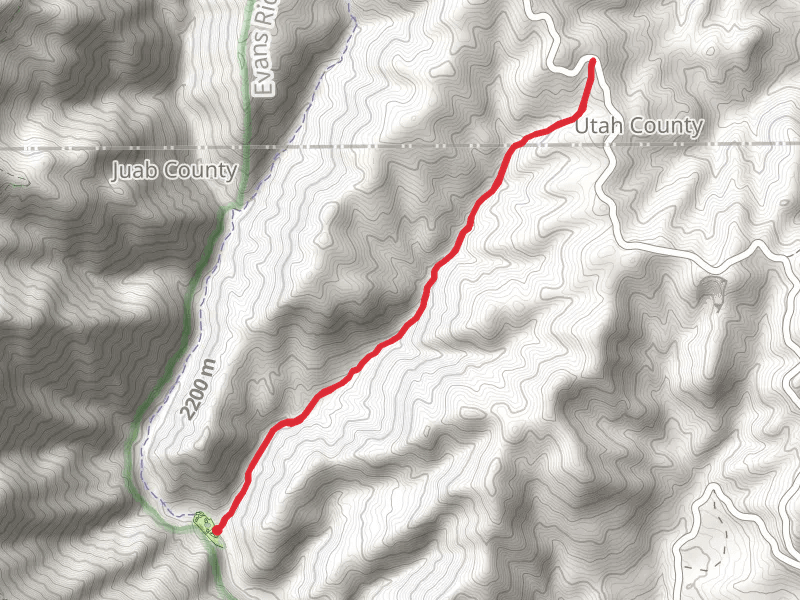 Beer Canyon Trail